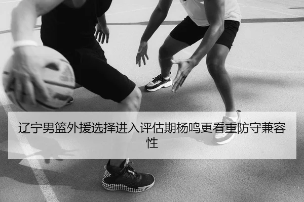 辽宁男篮外援选择进入评估期杨鸣更看重防守兼容性